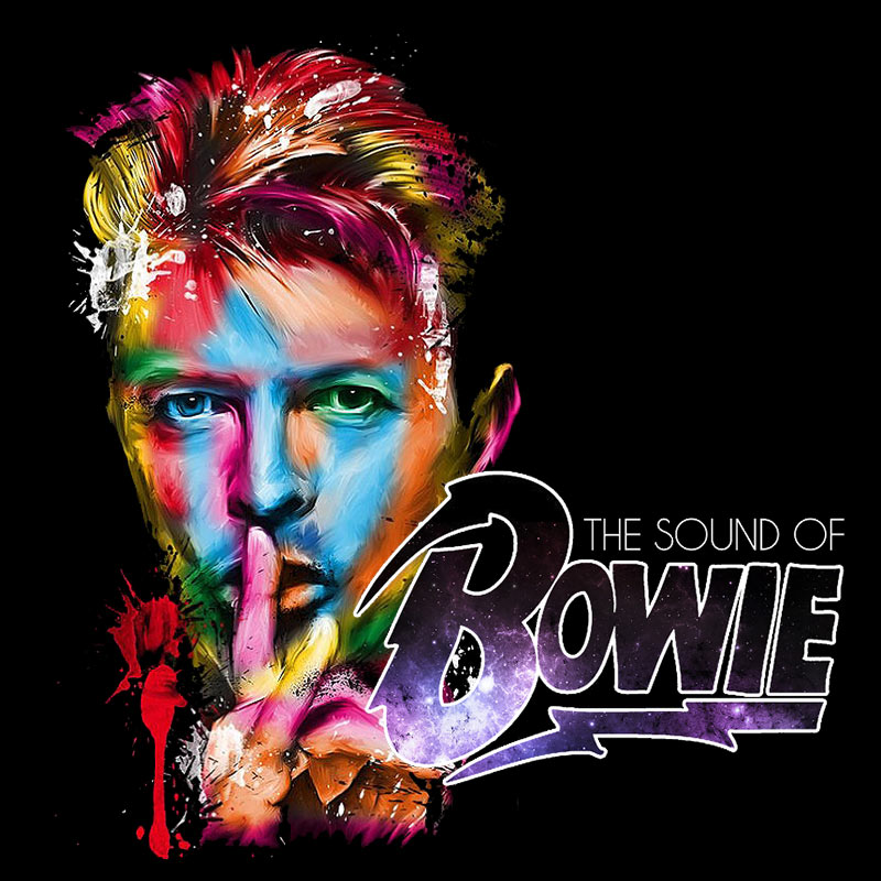 David Bowie Tribute by Martin Gough