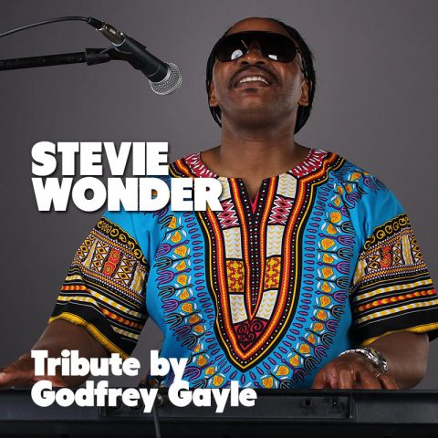 Stevie Wonder Tribute by Godfrey Gayle