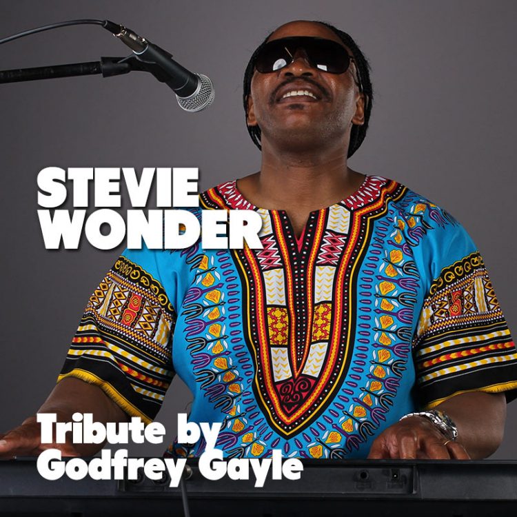 Stevie Wonder Tribute by Godfrey Gayle