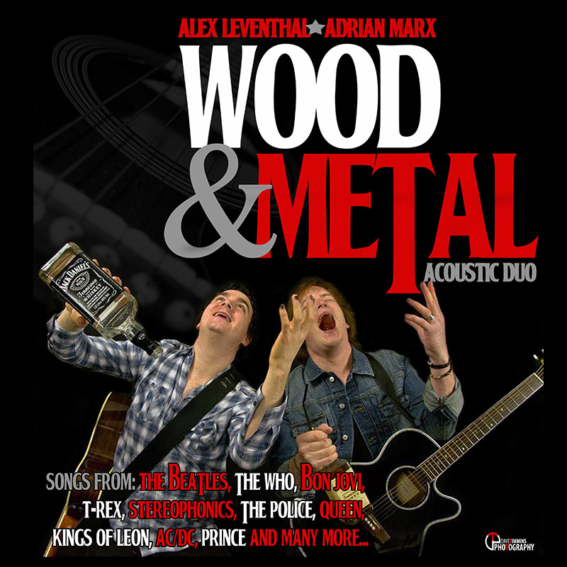 Wood and Metal - Acoustic Duo