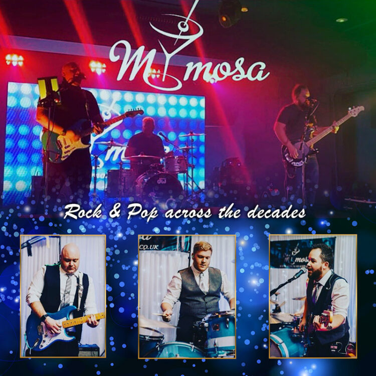 Mimosa - Party band