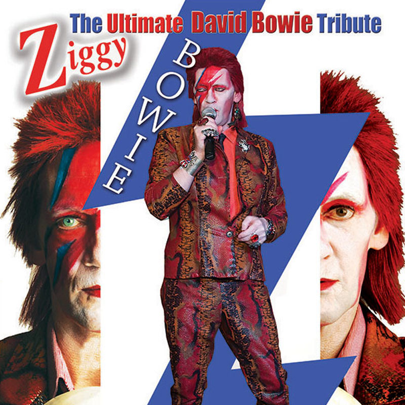 David Bowie tribute - Ziggy