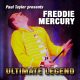 Freddie Mercury tribute by Paul Tayler