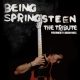 Bruce Springsteen tribute - Being Stringsteen - Adrian Marx