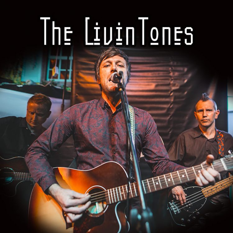 The LivinTones - electro-acoustic trio