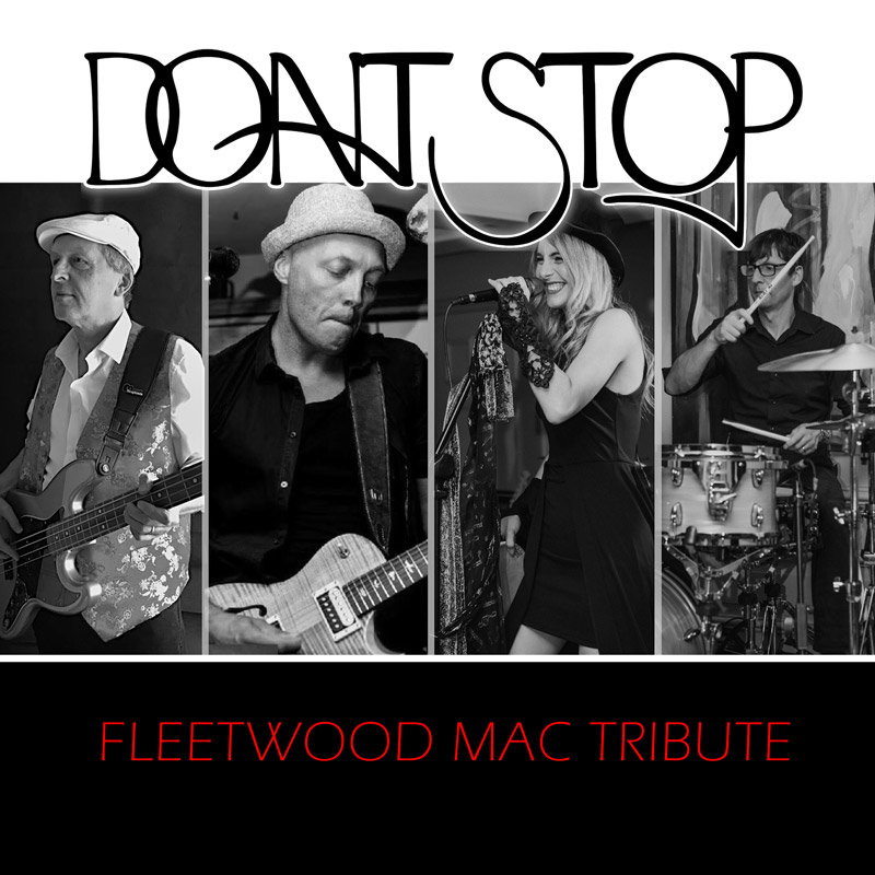 Fleetwood Mac tribute - Don't Stop