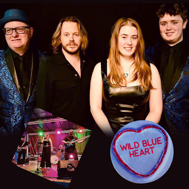 Wild Blue Heart - covers band